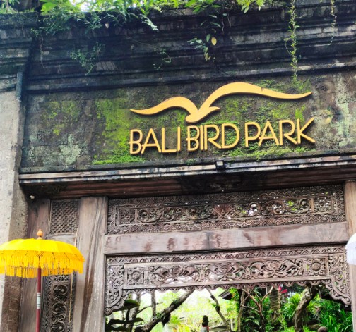 Exciting and Educational Travel at Bali BirdPark